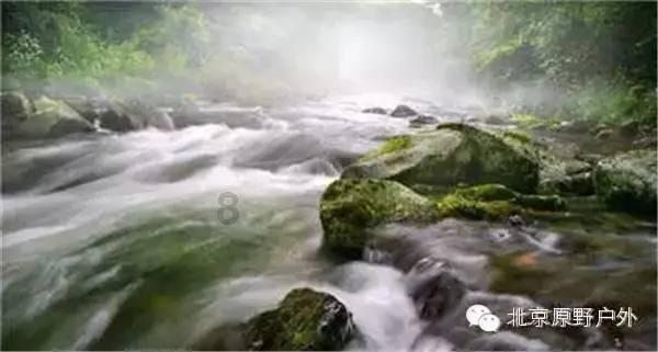逃出蜜蜂岛
